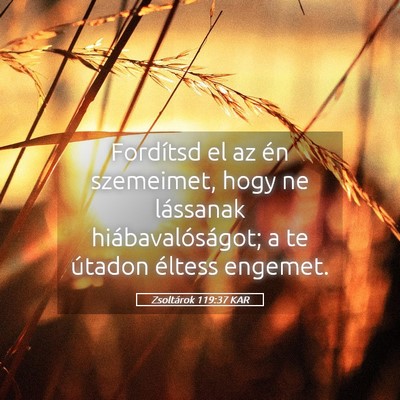 Picture 05 - Zsoltárok 119:37 KAR - Fordítsd el az én szemeimet, hogy ne lássanak - Bible Verse Picture