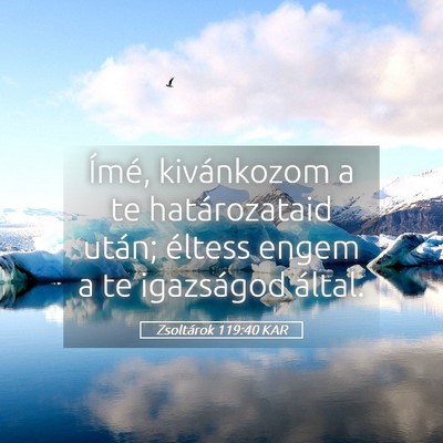 Picture 05 - Zsoltárok 119:40 KAR - Ímé, kivánkozom a te határozataid után; - Bible Verse Picture