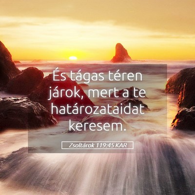Picture 05 - Zsoltárok 119:45 KAR - És tágas téren járok, mert a te - Bible Verse Picture