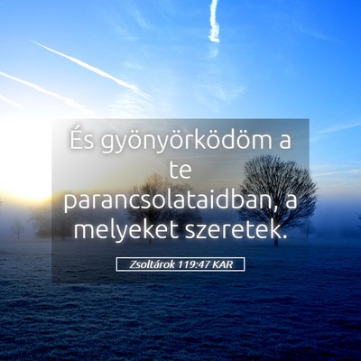 Picture 05 - Zsoltárok 119:47 KAR - És gyönyörködöm a te parancsolataidban, a - Bible Verse Picture
