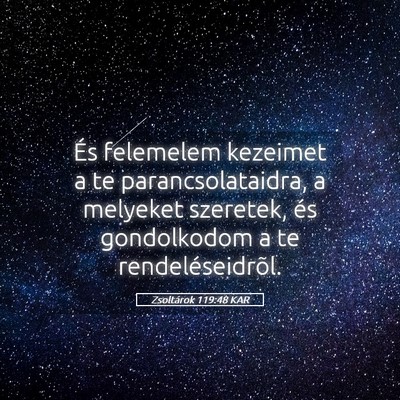 Picture 05 - Zsoltárok 119:48 KAR - És felemelem kezeimet a te parancsolataidra, a - Bible Verse Picture
