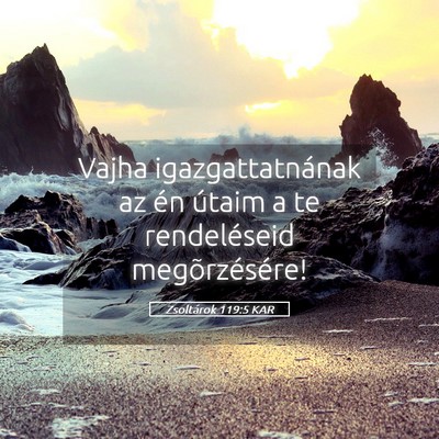Picture 05 - Zsoltárok 119:5 KAR - Vajha igazgattatnának az én útaim a te - Bible Verse Picture