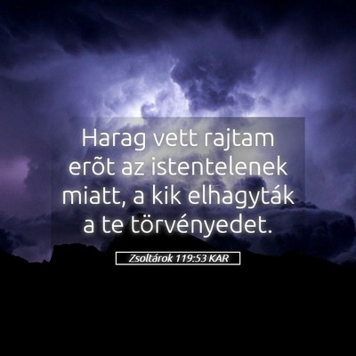 Picture 05 - Zsoltárok 119:53 KAR - Harag vett rajtam erõt az istentelenek miatt, a - Bible Verse Picture