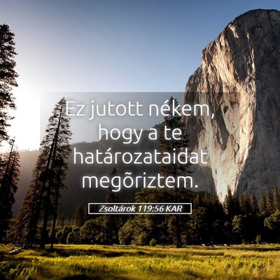 Picture 05 - Zsoltárok 119:56 KAR - Ez jutott nékem, hogy a te határozataidat - Bible Verse Picture
