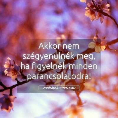 Picture 05 - Zsoltárok 119:6 KAR - Akkor nem szégyenülnék meg, ha figyelnék - Bible Verse Picture