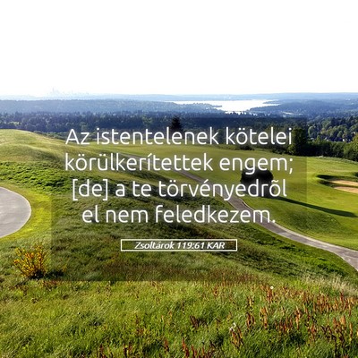 Picture 05 - Zsoltárok 119:61 KAR - Az istentelenek kötelei körülkerítettek - Bible Verse Picture