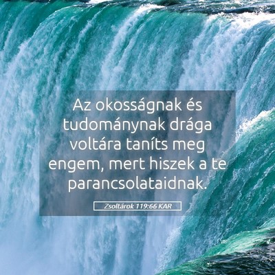Picture 05 - Zsoltárok 119:66 KAR - Az okosságnak és tudománynak drága voltára - Bible Verse Picture
