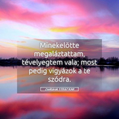Picture 05 - Zsoltárok 119:67 KAR - Minekelõtte megaláztattam, tévelyegtem vala; - Bible Verse Picture