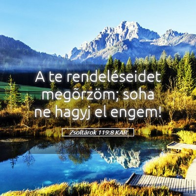 Picture 05 - Zsoltárok 119:8 KAR - A te rendeléseidet megõrzöm; soha ne hagyj el - Bible Verse Picture