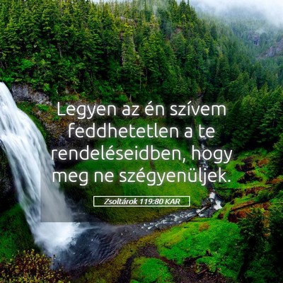 Picture 05 - Zsoltárok 119:80 KAR - Legyen az én szívem feddhetetlen a te - Bible Verse Picture
