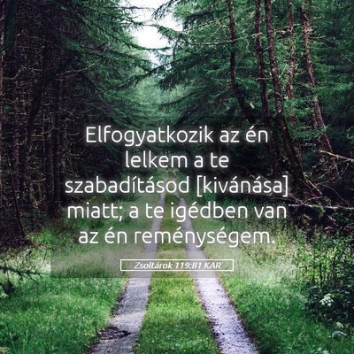 Picture 05 - Zsoltárok 119:81 KAR - Elfogyatkozik az én lelkem a te szabadításod - Bible Verse Picture