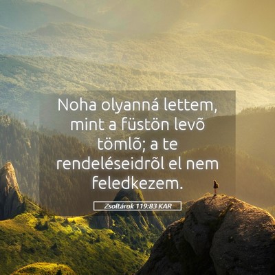 Picture 05 - Zsoltárok 119:83 KAR - Noha olyanná lettem, mint a füstön levõ - Bible Verse Picture