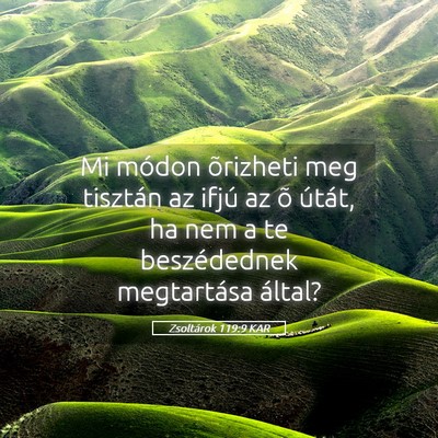 Picture 05 - Zsoltárok 119:9 KAR - Mi módon õrizheti meg tisztán az ifjú az õ - Bible Verse Picture