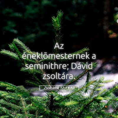 Picture 05 - Zsoltárok 12:1 KAR - Az éneklõmesternek a seminithre; Dávid - Bible Verse Picture