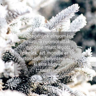 Picture 05 - Zsoltárok 12:6 KAR - A szegények elnyomása miatt, a nyomorultak - Bible Verse Picture