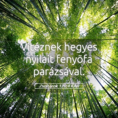 Picture 05 - Zsoltárok 120:4 KAR - Vitéznek hegyes nyilait fenyõfa - Bible Verse Picture