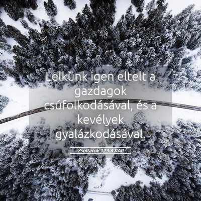 Picture 05 - Zsoltárok 123:4 KAR - Lelkünk igen eltelt a gazdagok - Bible Verse Picture