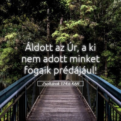 Picture 05 - Zsoltárok 124:6 KAR - Áldott az Úr, a ki nem adott minket fogaik - Bible Verse Picture