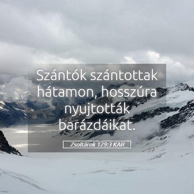 Picture 05 - Zsoltárok 129:3 KAR - Szántók szántottak hátamon, hosszúra - Bible Verse Picture