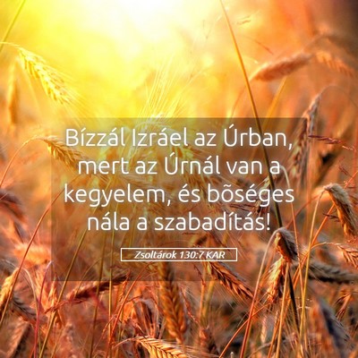 Picture 05 - Zsoltárok 130:7 KAR - Bízzál Izráel az Úrban, mert az Úrnál van a - Bible Verse Picture