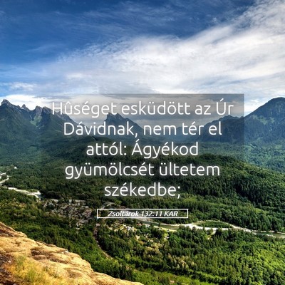 Picture 05 - Zsoltárok 132:11 KAR - Hûséget esküdött az Úr Dávidnak, nem tér - Bible Verse Picture