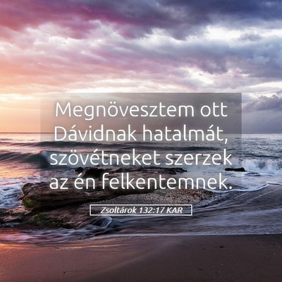 Picture 05 - Zsoltárok 132:17 KAR - Megnövesztem ott Dávidnak hatalmát, - Bible Verse Picture