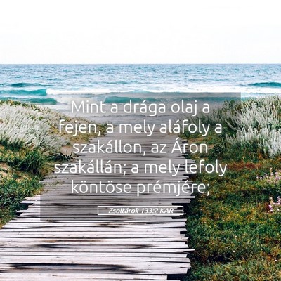 Picture 05 - Zsoltárok 133:2 KAR - Mint a drága olaj a fejen, a mely aláfoly a - Bible Verse Picture