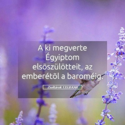 Picture 05 - Zsoltárok 135:8 KAR - A ki megverte Égyiptom elsõszülötteit, az - Bible Verse Picture