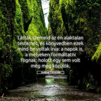 Picture 05 - Zsoltárok 139:16 KAR - Látták szemeid az én alaktalan testemet, és - Bible Verse Picture