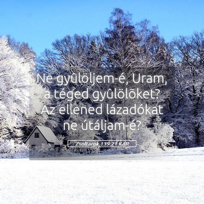 Picture 05 - Zsoltárok 139:21 KAR - Ne gyûlöljem-é, Uram, a téged gyûlölõket? - Bible Verse Picture