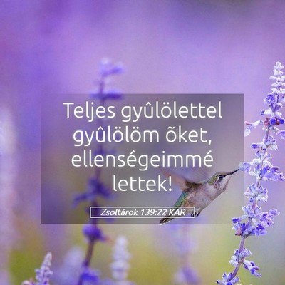 Picture 05 - Zsoltárok 139:22 KAR - Teljes gyûlölettel gyûlölöm õket, - Bible Verse Picture