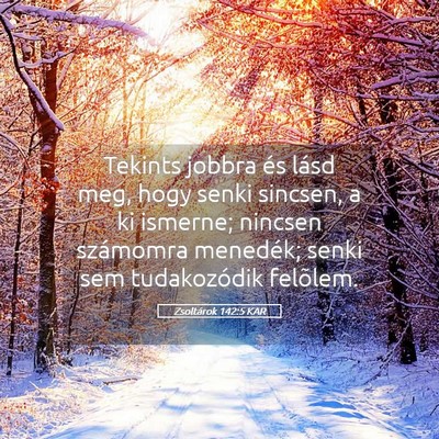 Picture 05 - Zsoltárok 142:5 KAR - Tekints jobbra és lásd meg, hogy senki sincsen, - Bible Verse Picture