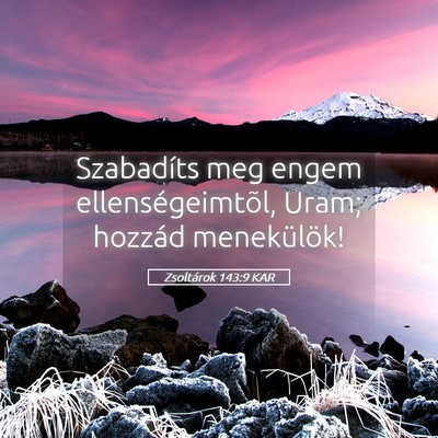 Picture 05 - Zsoltárok 143:9 KAR - Szabadíts meg engem ellenségeimtõl, Uram; - Bible Verse Picture