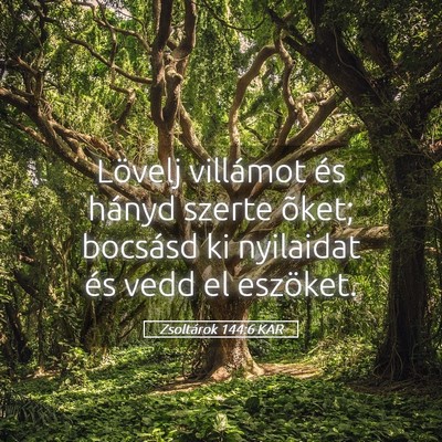 Picture 05 - Zsoltárok 144:6 KAR - Lövelj villámot és hányd szerte õket; - Bible Verse Picture