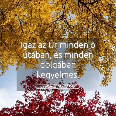 Picture 05 - Zsoltárok 145:17 KAR - Igaz az Úr minden õ útában, és minden - Bible Verse Picture