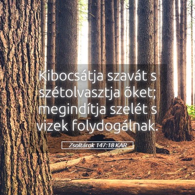 Picture 05 - Zsoltárok 147:18 KAR - Kibocsátja szavát s szétolvasztja õket; - Bible Verse Picture