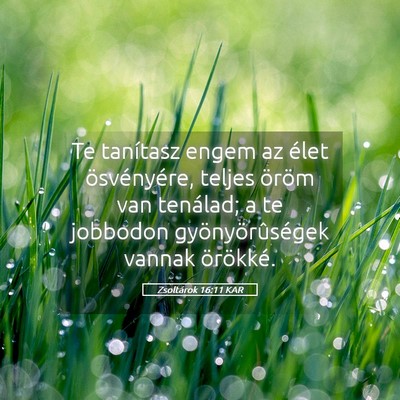 Picture 05 - Zsoltárok 16:11 KAR - Te tanítasz engem az élet ösvényére, teljes - Bible Verse Picture