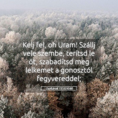 Picture 05 - Zsoltárok 17:13 KAR - Kelj fel, oh Uram! Szállj vele szembe, terítsd - Bible Verse Picture