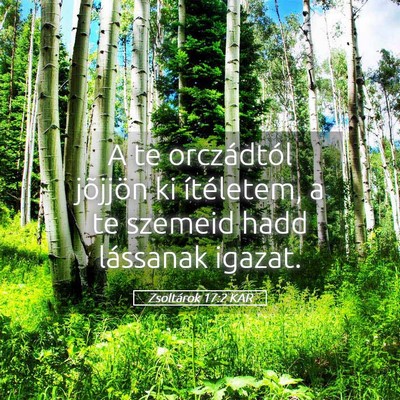 Picture 05 - Zsoltárok 17:2 KAR - A te orczádtól jõjjön ki ítéletem, a te - Bible Verse Picture