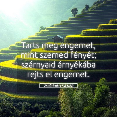 Picture 05 - Zsoltárok 17:8 KAR - Tarts meg engemet, mint szemed fényét; - Bible Verse Picture