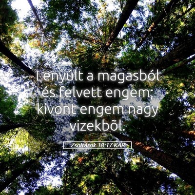 Picture 05 - Zsoltárok 18:17 KAR - Lenyúlt a magasból és felvett engem; kivont - Bible Verse Picture