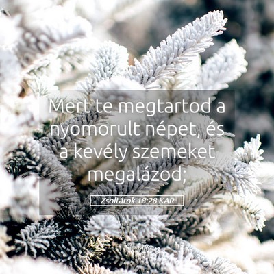 Picture 05 - Zsoltárok 18:28 KAR - Mert te megtartod a nyomorult népet, és a - Bible Verse Picture