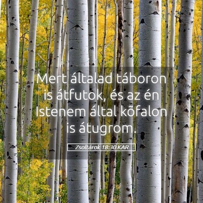 Picture 05 - Zsoltárok 18:30 KAR - Mert általad táboron is átfutok, és az én - Bible Verse Picture