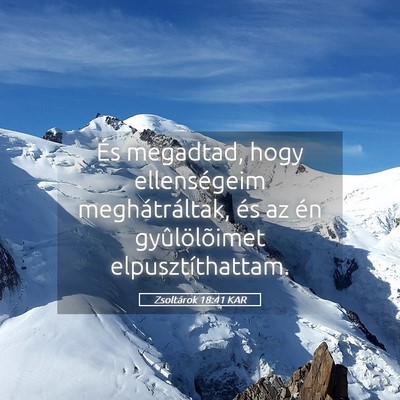 Picture 05 - Zsoltárok 18:41 KAR - És megadtad, hogy ellenségeim meghátráltak, - Bible Verse Picture