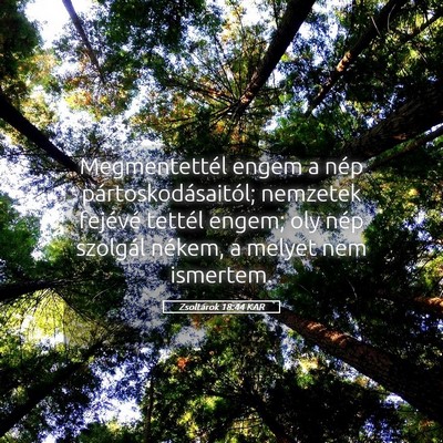 Picture 05 - Zsoltárok 18:44 KAR - Megmentettél engem a nép pártoskodásaitól; - Bible Verse Picture