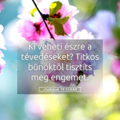 Picture 05 - Zsoltárok 19:13 KAR - Ki veheti észre a tévedéseket? Titkos - Bible Verse Picture