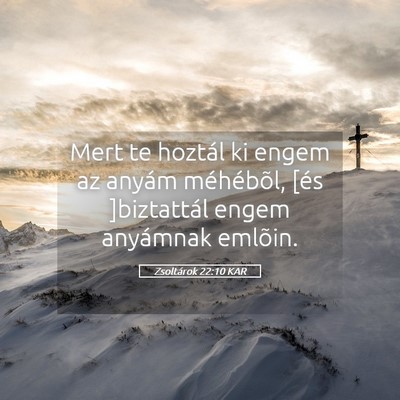 Picture 05 - Zsoltárok 22:10 KAR - Mert te hoztál ki engem az anyám méhébõl, - Bible Verse Picture