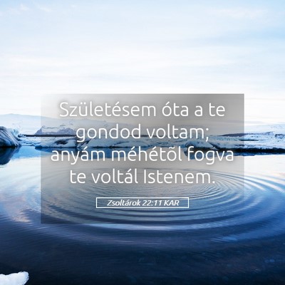 Picture 05 - Zsoltárok 22:11 KAR - Születésem óta a te gondod voltam; anyám - Bible Verse Picture