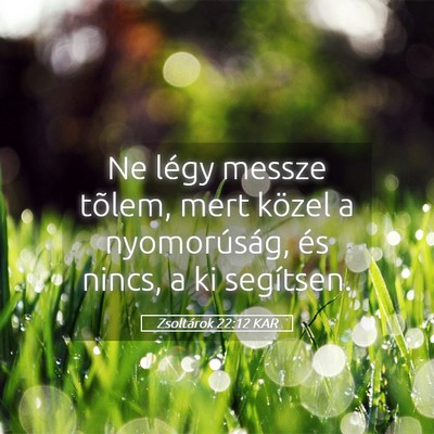 Picture 05 - Zsoltárok 22:12 KAR - Ne légy messze tõlem, mert közel a - Bible Verse Picture