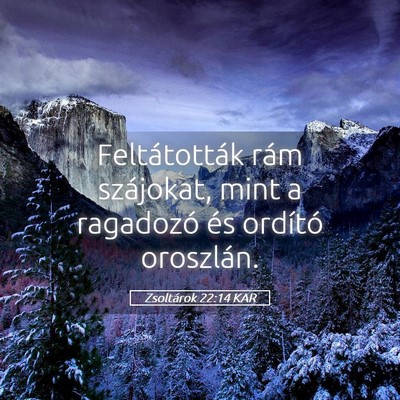 Picture 05 - Zsoltárok 22:14 KAR - Feltátották rám szájokat, mint a ragadozó - Bible Verse Picture